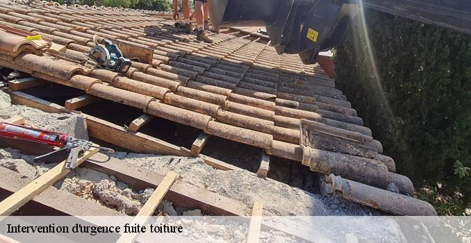 Intervention d'urgence fuite toiture gadancourt-95450 Landouer Thierry