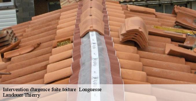 Intervention d'urgence fuite toiture   longuesse-95450 Landouer Thierry