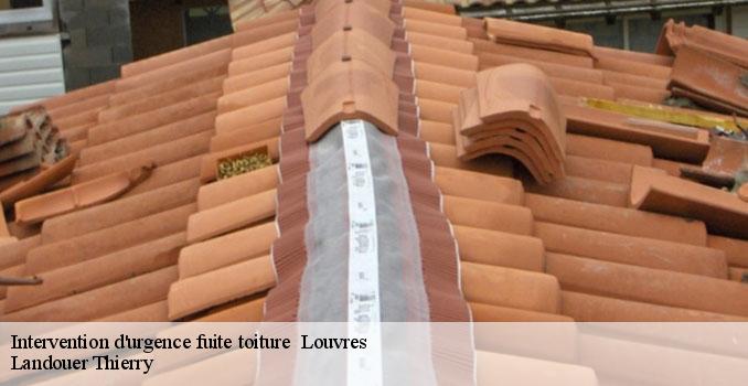 Intervention d'urgence fuite toiture louvres-95380 Landouer Thierry