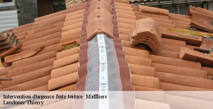 Intervention d'urgence fuite toiture maffliers-95560 Landouer Thierry