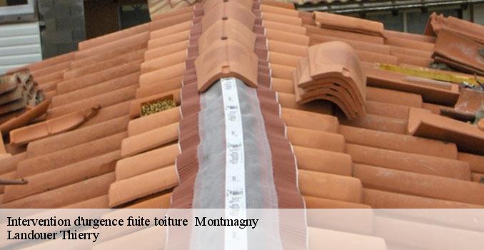 Intervention d'urgence fuite toiture   montmagny-95360 Landouer Thierry