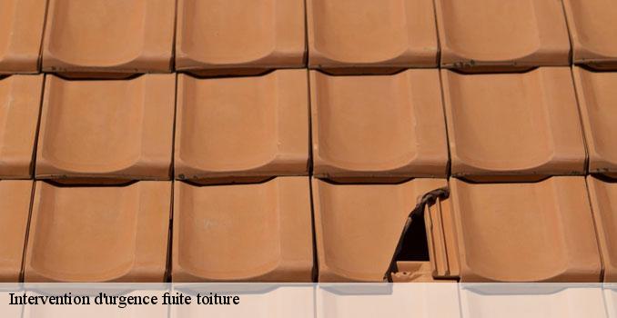 Intervention d'urgence fuite toiture pontoise-95000 Landouer Thierry