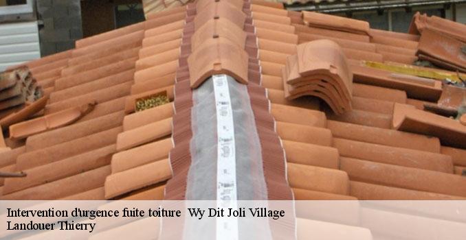 Intervention d'urgence fuite toiture wy-dit-joli-village-95420 Landouer Thierry