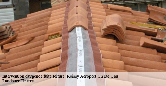 Intervention d'urgence fuite toiture   roissy-aeroport-ch-de-gau-95700 Landouer Thierry