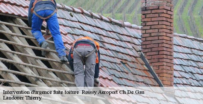 Intervention d'urgence fuite toiture   roissy-aeroport-ch-de-gau-95700 Landouer Thierry